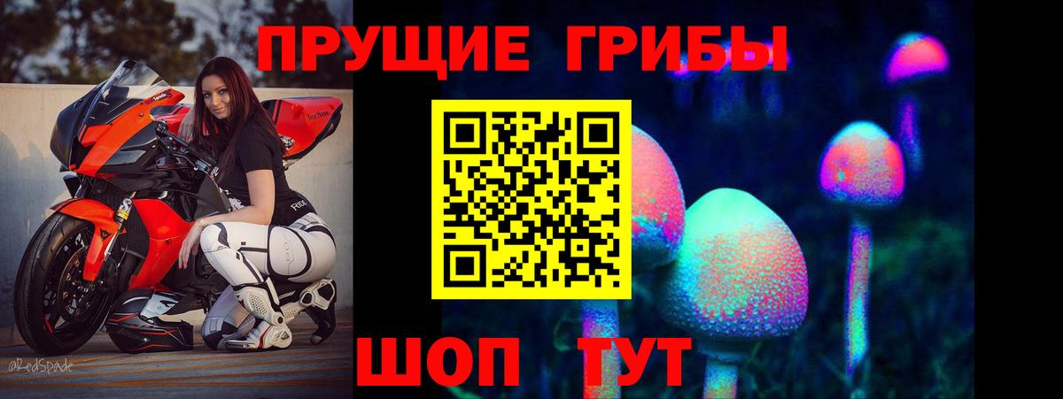 Псилоцибиновые грибы Magic Shrooms  Вход с VPN  дарнет шоп  Кунгур  Галлюциногенные грибы MAGIC MUSHROOMS 